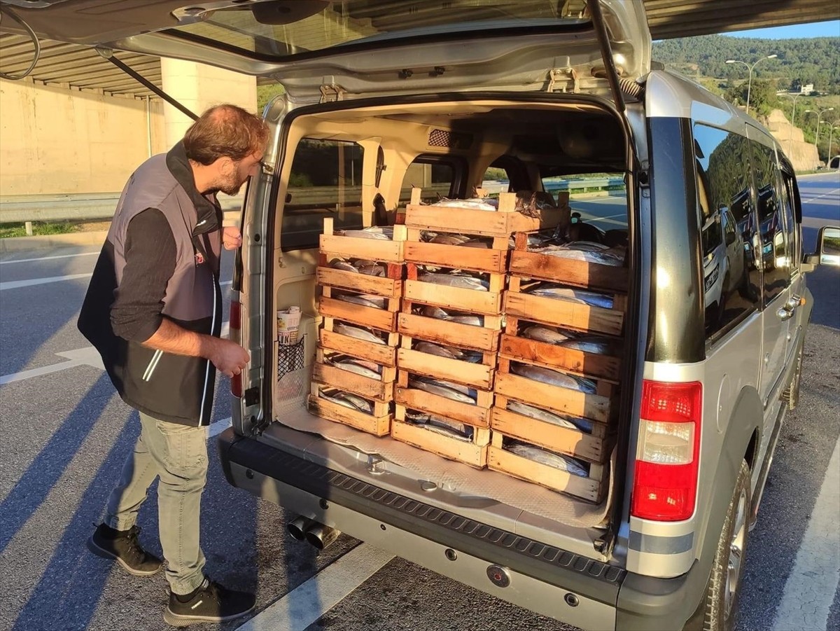 Sinop'ta geçen yıl kaçak su ürünleri avcılığı yaptıkları tespit edilen 57 kişiye, toplam 2 milyon...