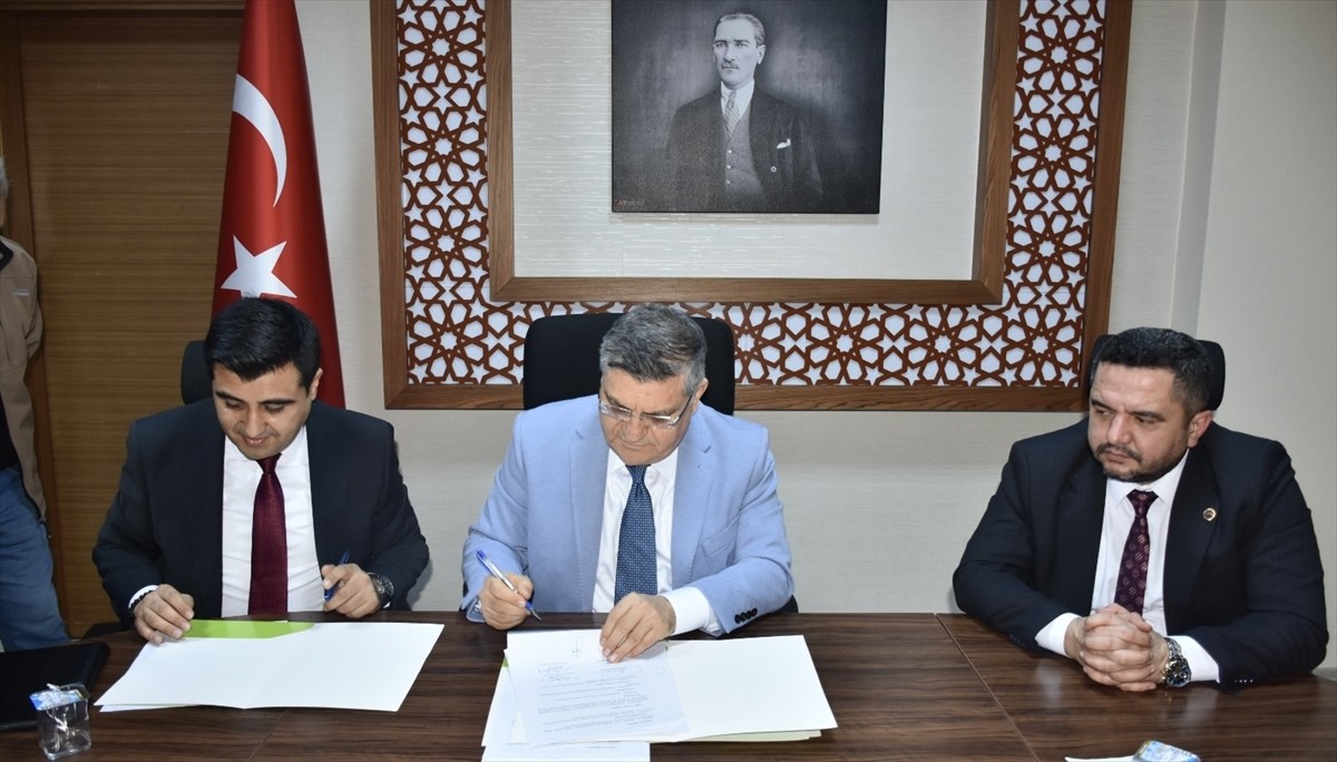 Sinop'un Durağan ilçesinde 520 hektar alanda bulunan 80 bin yabani zeytin ağacının aşılanarak...