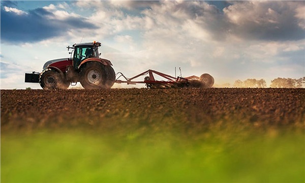 Tarım Bakanlığı'ndan 2025 İçin Yeni Destek Paketleri Açıklandı