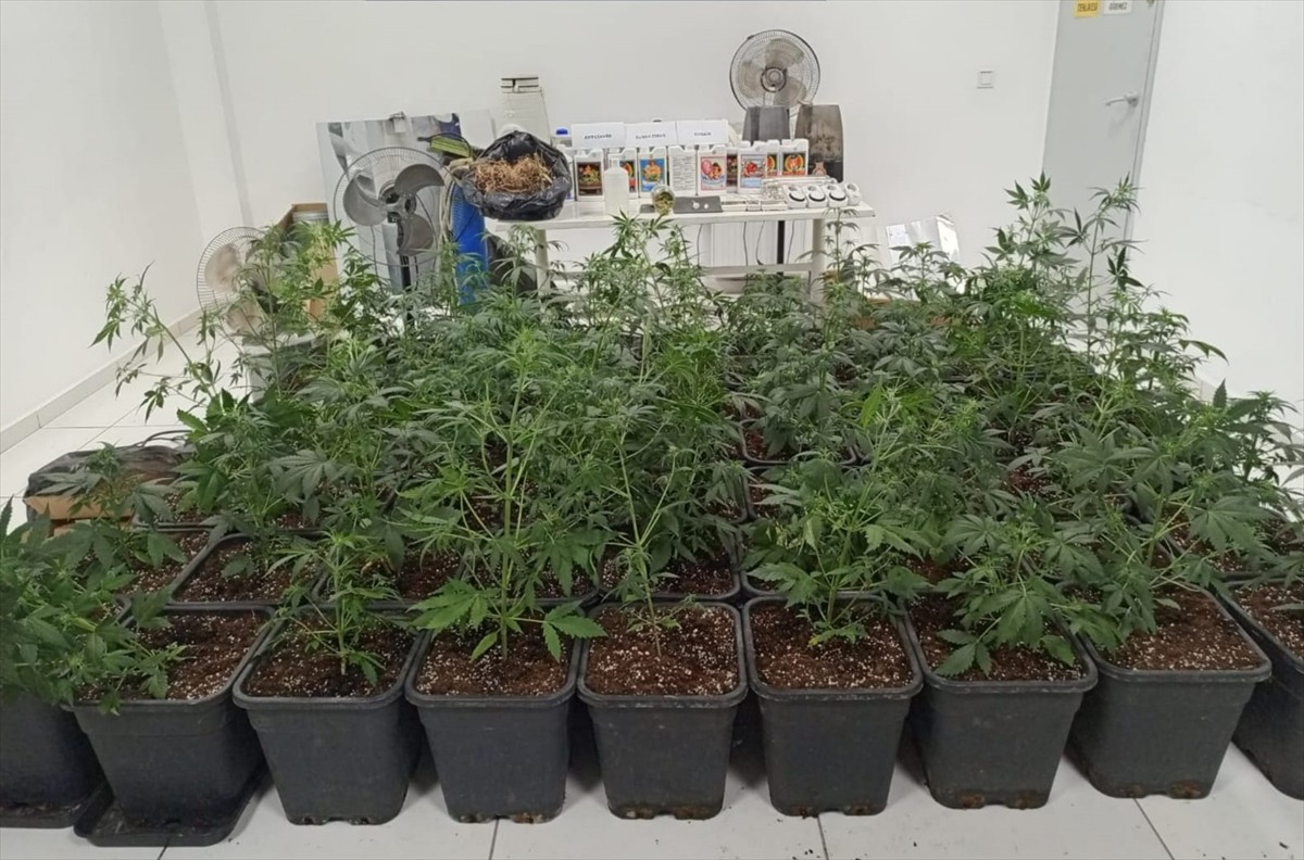 Tekirdağ'ın Çerkezköy ilçesinde klima mağazası görünümünde olan ve iklimlendirme sistemiyle...