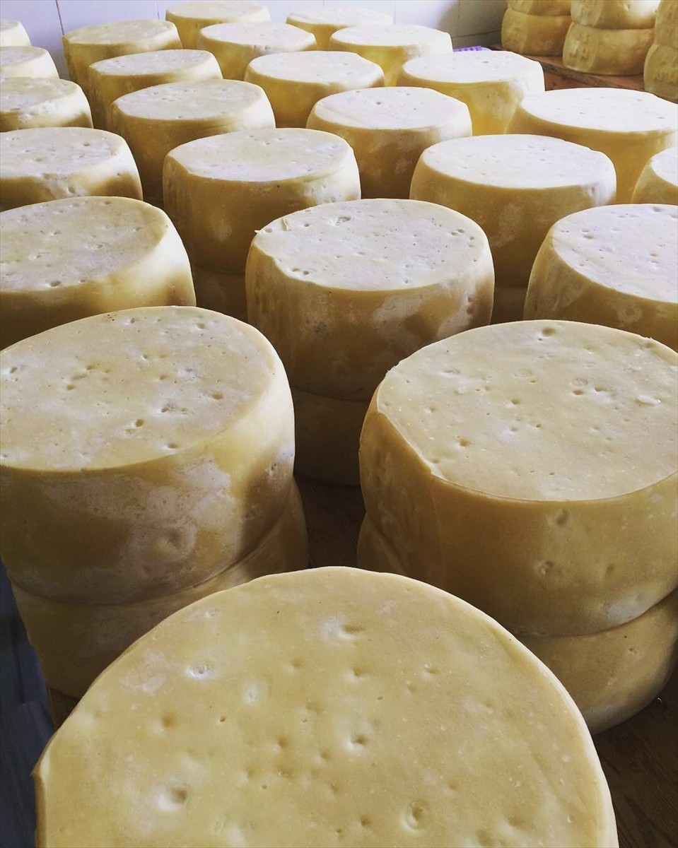 Tekirdağ Ticaret ve Sanayi Odası (TTSO), "Malkara eski kaşarı"nın Avrupa Birliği (AB) nezdinde...