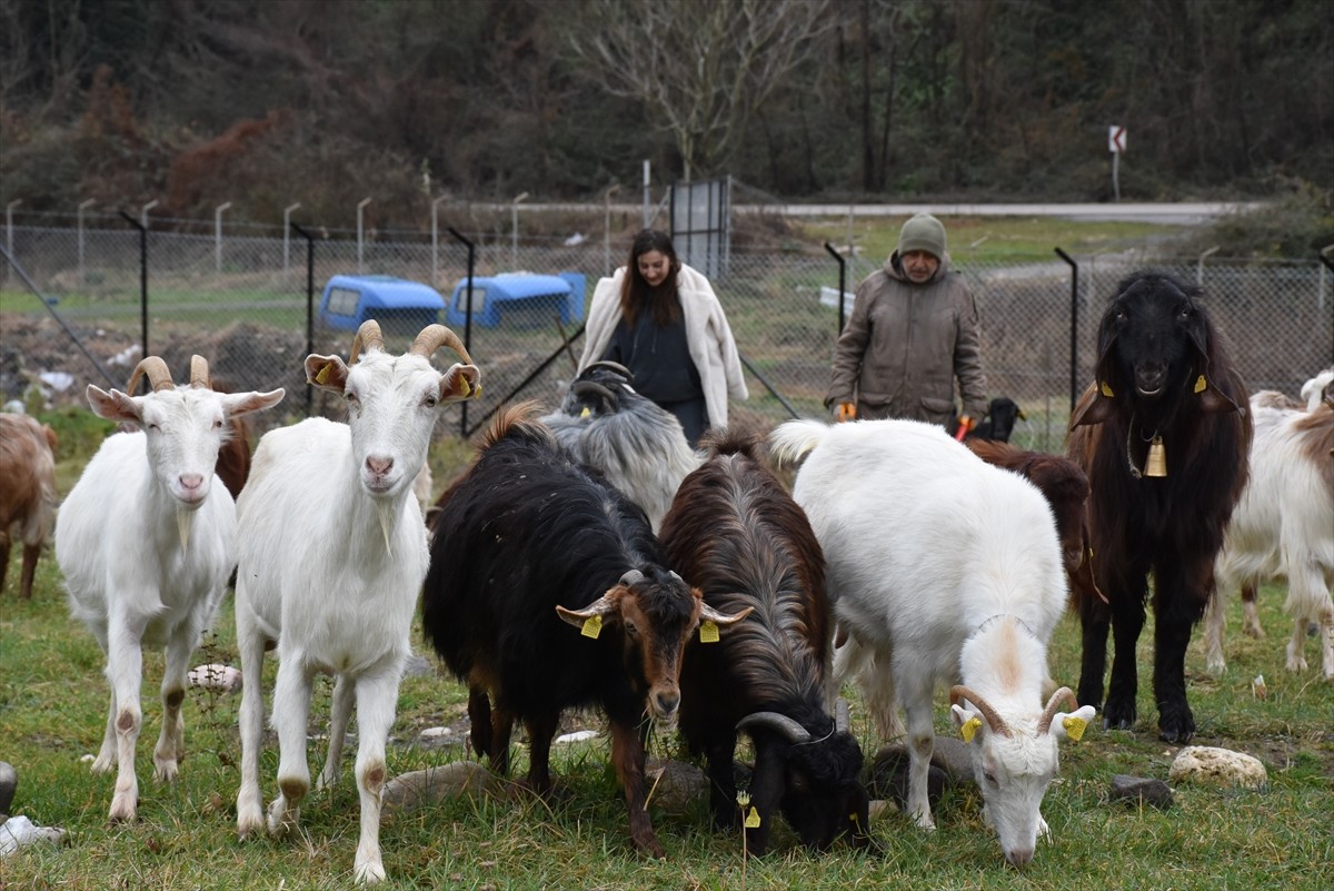 Üniversitede tarım ve hayvancılık sektörünün yapısal problemlerine yönelik hazırladığı tezden...