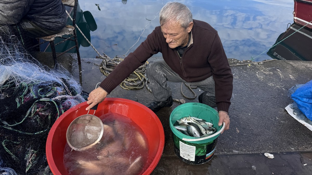 Zonguldak'ta denize açılan balıkçılar, yaklaşık 2 ton lüfer avladı. Hava koşullarının...