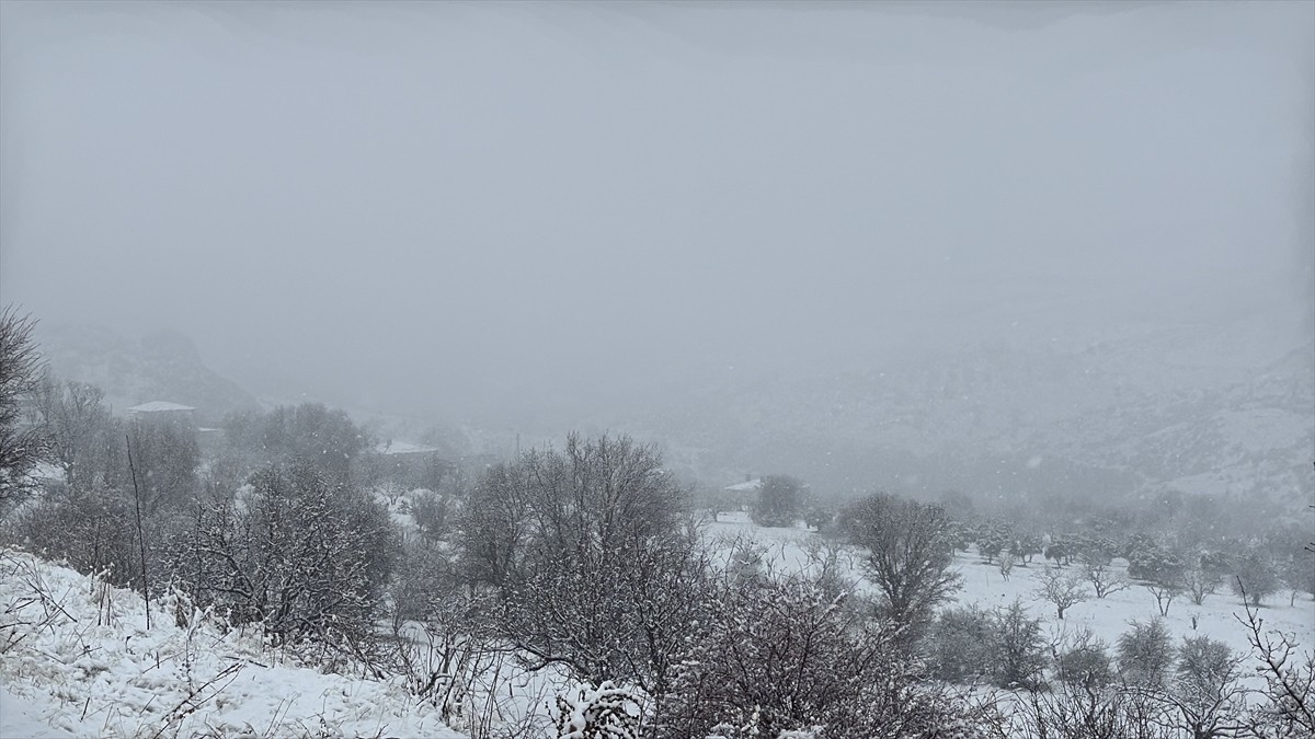 Adıyaman'ın Besni, Gölbaşı, Kahta ve Tut ilçelerinde kar etkili oldu.