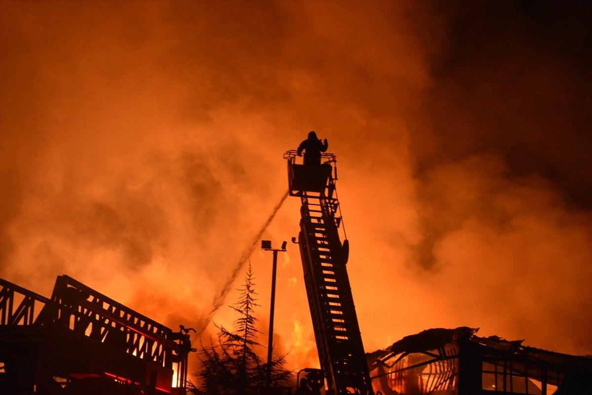 Afyonkarahisar'daki Organize Sanayi Bölgesi'nde bulunan orman ürünleri fabrikasında henüz...