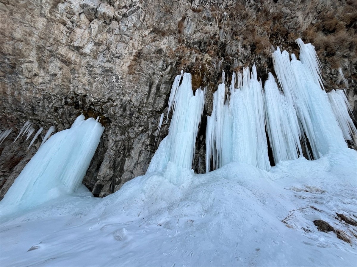 Ağrı'nın Diyadin ilçesindeki Murat Kanyonu'nda soğuk havanın etkisiyle metrelerce uzunlukta buz...