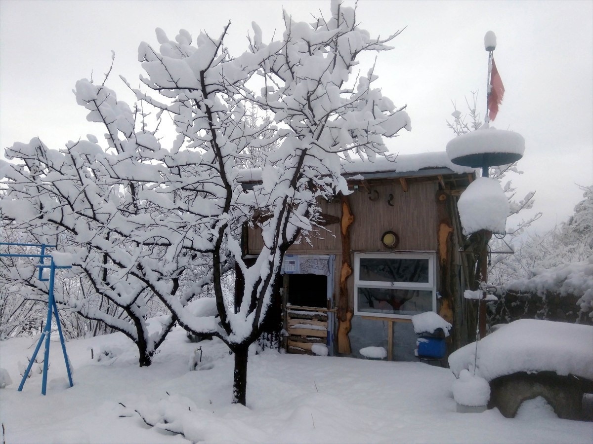 Amasya'nın yüksek kesimlerinde kar yağışı etkili oldu. Taşova ilçesine bağlı Dereli ve çevre...