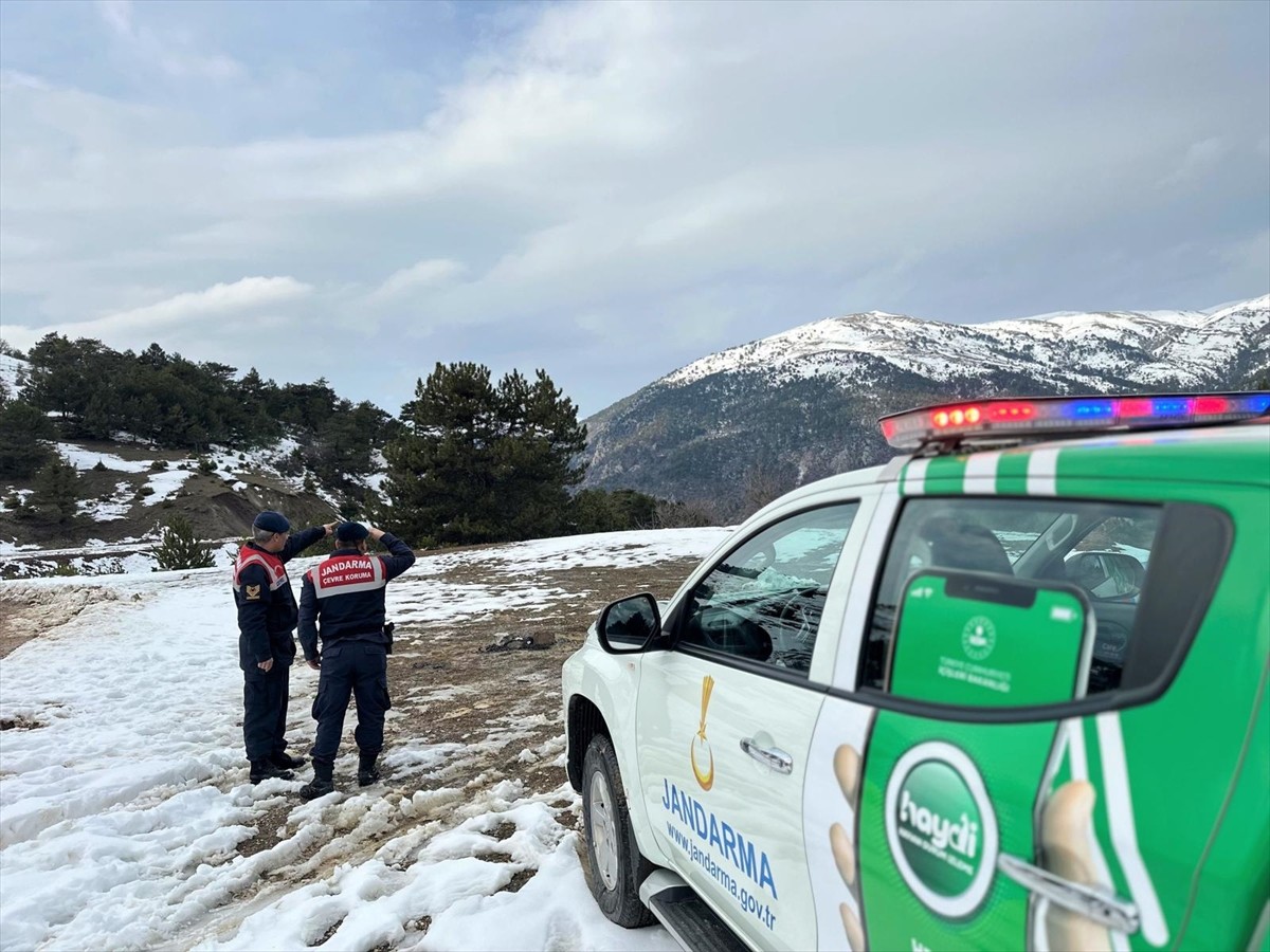 Amasya İl Jandarma Komutanlığı ekipleri, kar yağışının etkili olduğu bölgelerde yaban hayvanları...