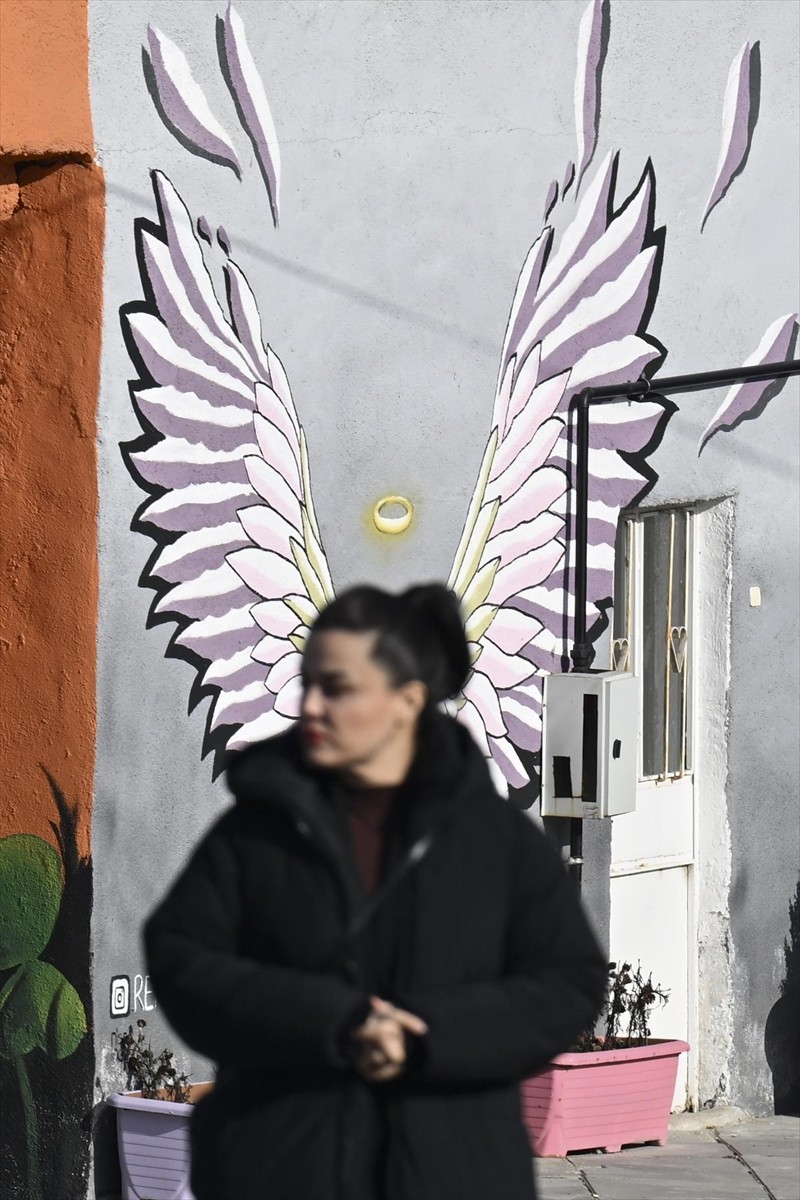 Ankara'nın Elmadağ ilçesinde, 300 haneden oluşan Yenidoğan ve Yenipınar Mahalleleri, "Renkliköy...