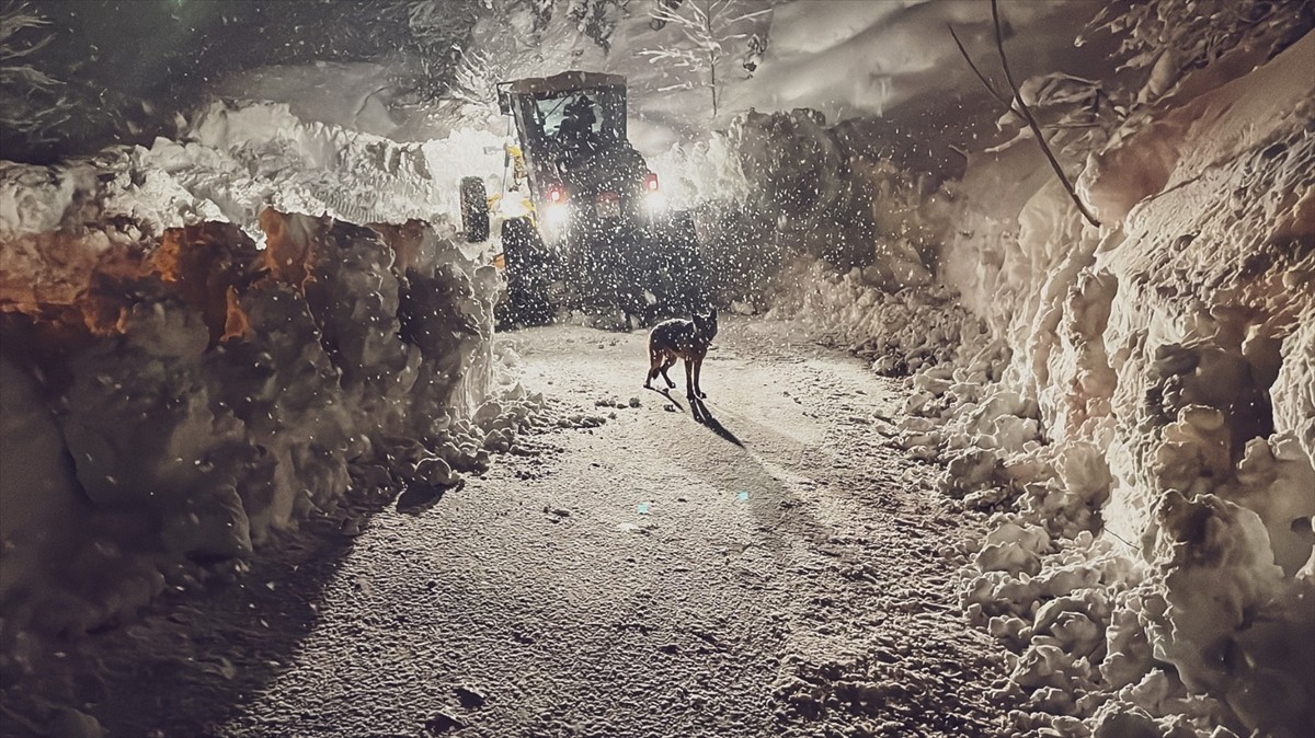 Artvin ve Rize'de kar dolayısıyla 316 yerleşim yerine ulaşım sağlanamıyor. Rize'de İl Özel İdaresi...
