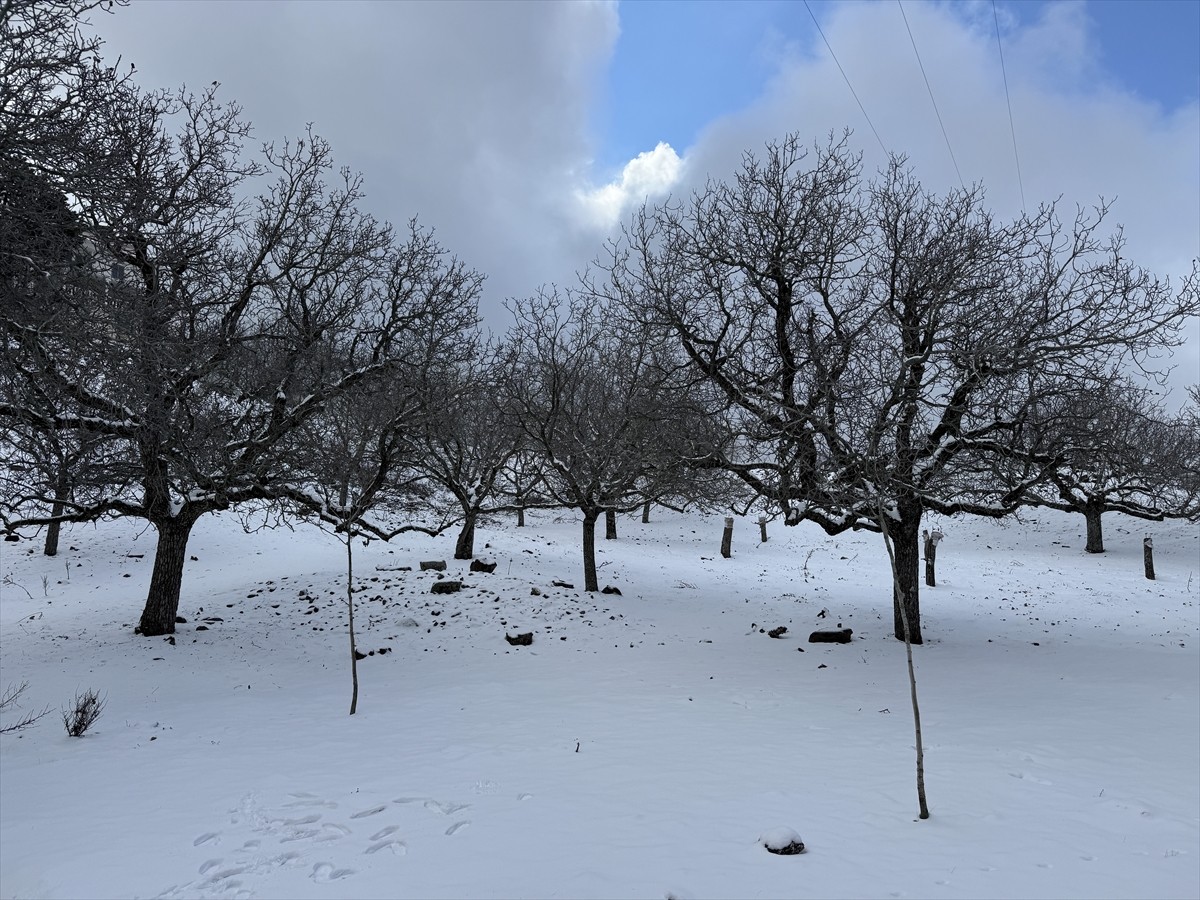  Aydın'ın bazı ilçelerinde yüksek kesimler kar yağışıyla beyaza büründü.