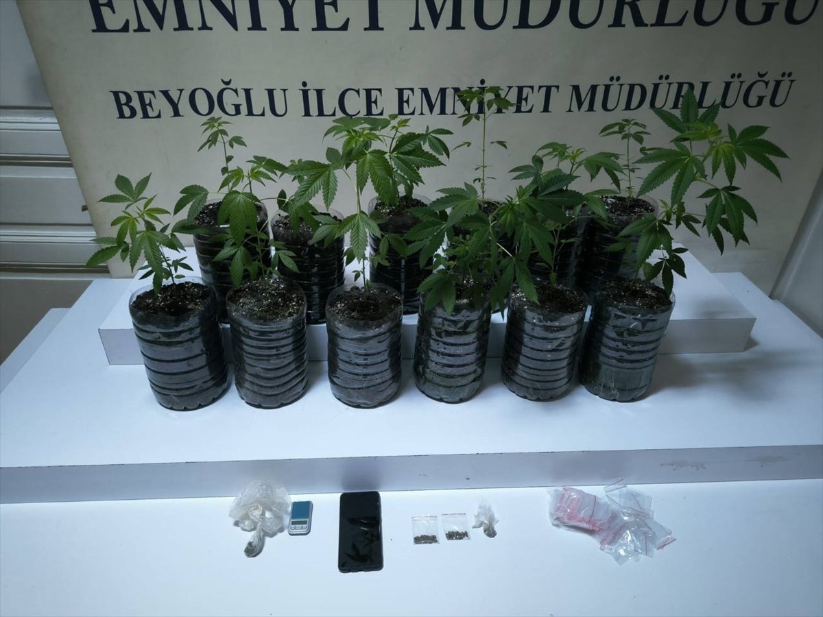 Beyoğlu İlçe Emniyet Müdürlüğü Asayiş Büro Amirliği ekiplerince, evinde uyuşturucu yetiştirip...