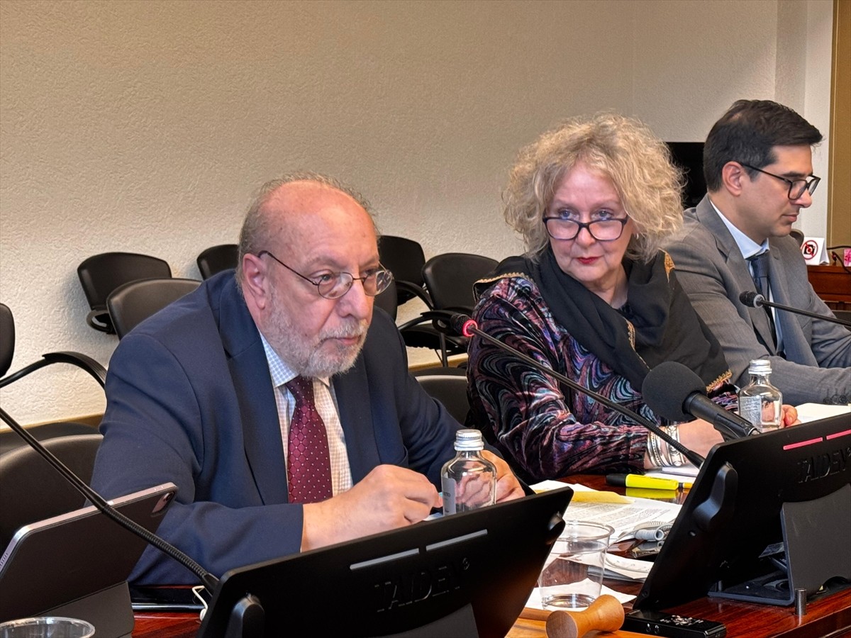 Birleşmiş Milletler (BM) Uluslararası Bağımsız Suriye Araştırma Komisyonu Üyesi Hanny Megally...