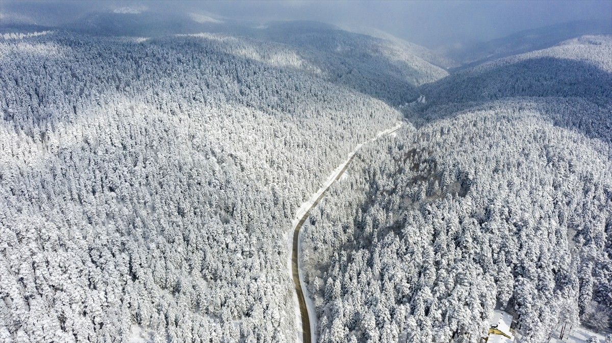 Bolu'nun doğal güzellikleriyle ünlü Abant Gölü Milli Parkı, kar yağışının ardından beyaza...