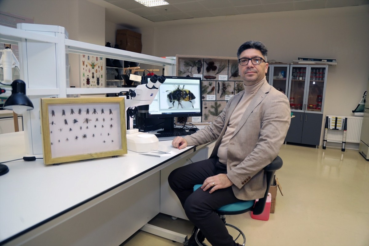 Bursa Teknik Üniversitesinin (BTÜ), TÜBİTAK desteğiyle yürüteceği proje kapsamında Uludağ'ın...