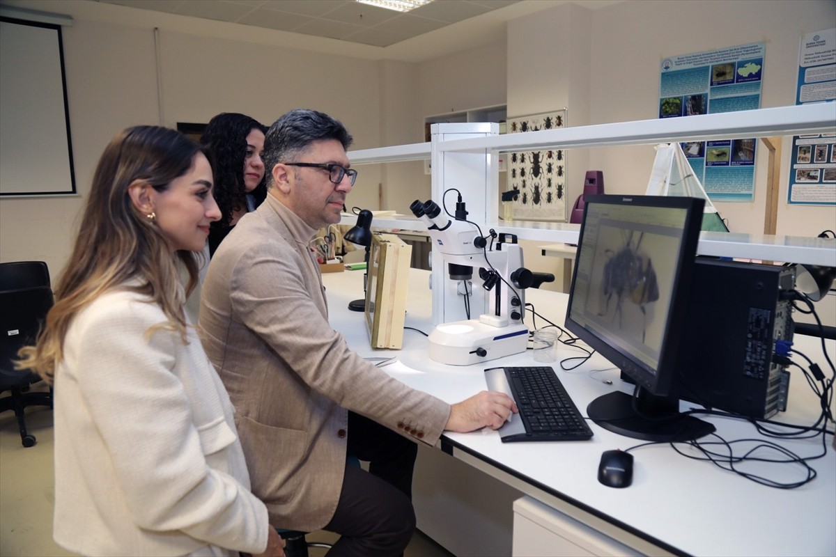 Bursa Teknik Üniversitesinin (BTÜ), TÜBİTAK desteğiyle yürüteceği proje kapsamında Uludağ'ın...