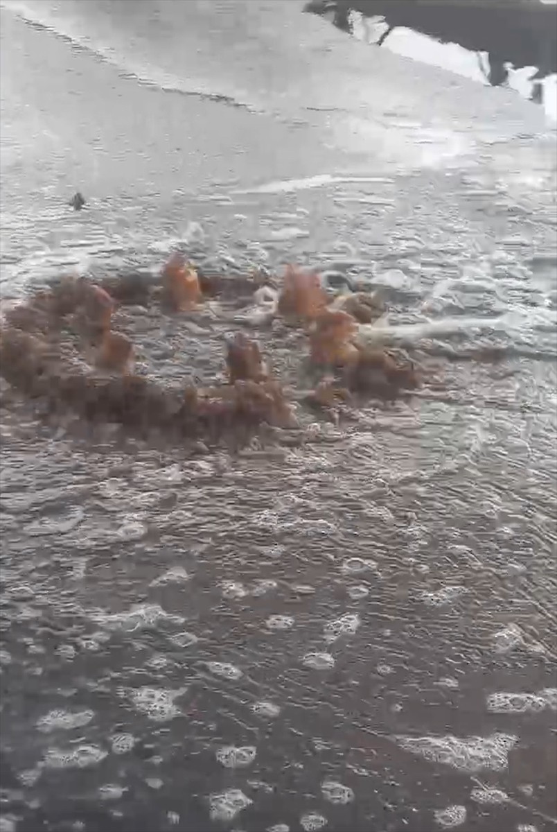 Çevre, Şehircilik ve İklim Değişikliği Bakanlığı, Harmandalı Katı Atık Tesisinin atık suyunun...