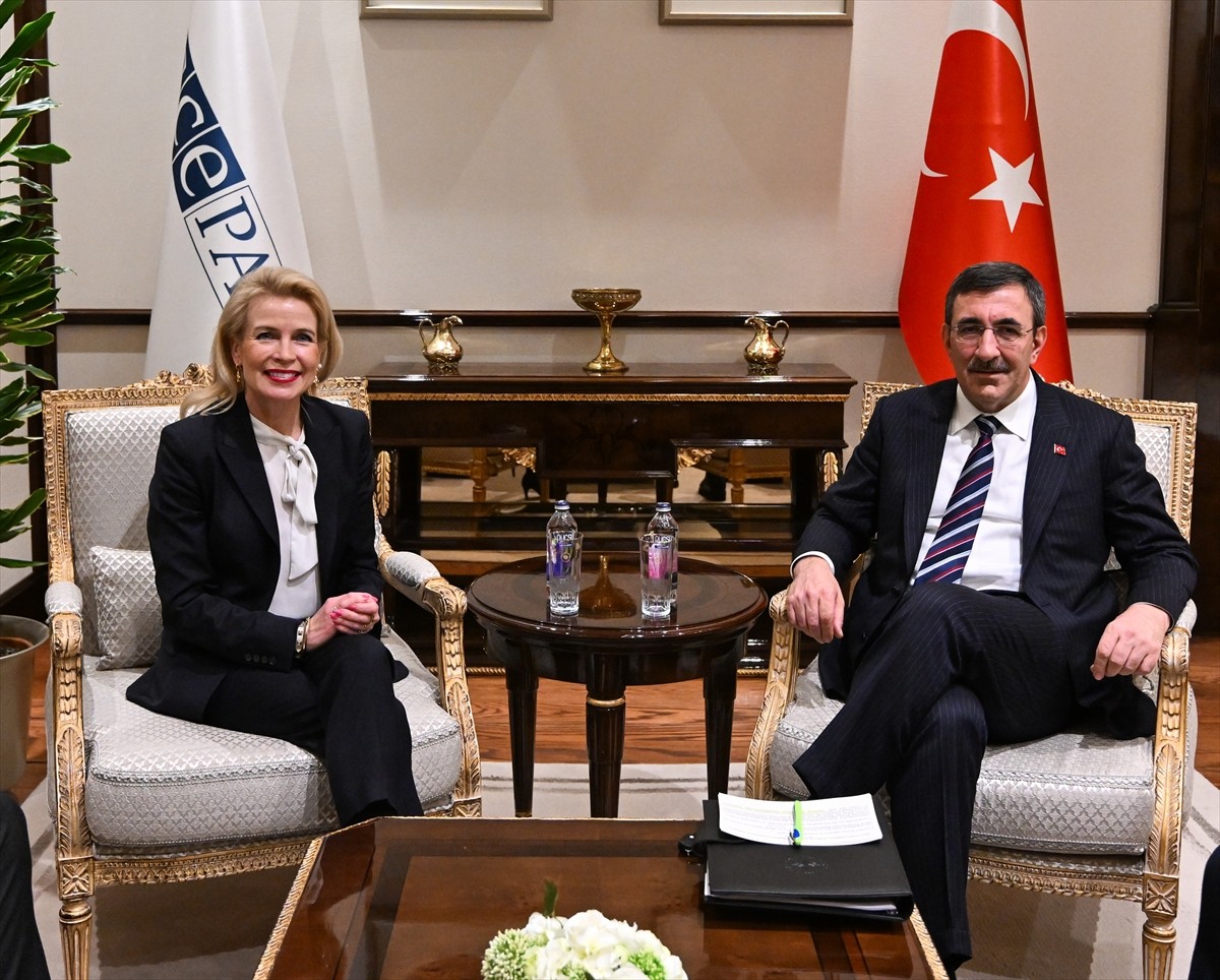 Cumhurbaşkanı Yardımcısı Cevdet Yılmaz (sağda) Avrupa Güvenlik ve İşbirliği Teşkilatı Parlamenter...