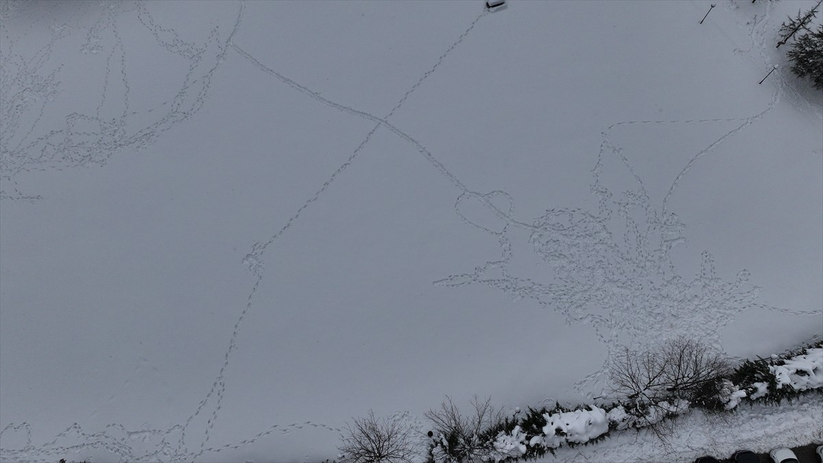 Düzce'nin yüksek kesimlerinde kar etkili oldu. Gölyaka ilçesindeki Güzeldere Şelalesi Tabiat Parkı...