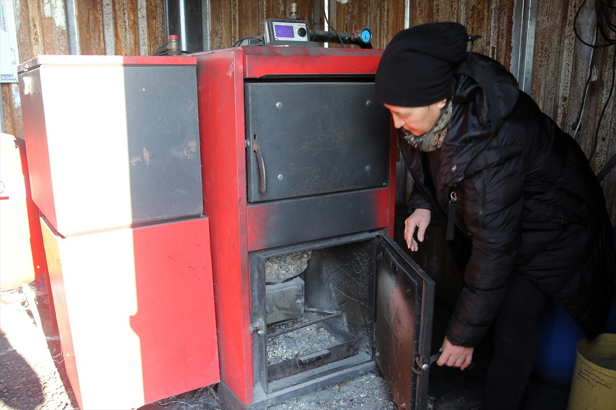 Edirne'de seralarda sebze fidesi yetiştiren üreticiler, soğuk kış günlerinde kalorifer kazan...