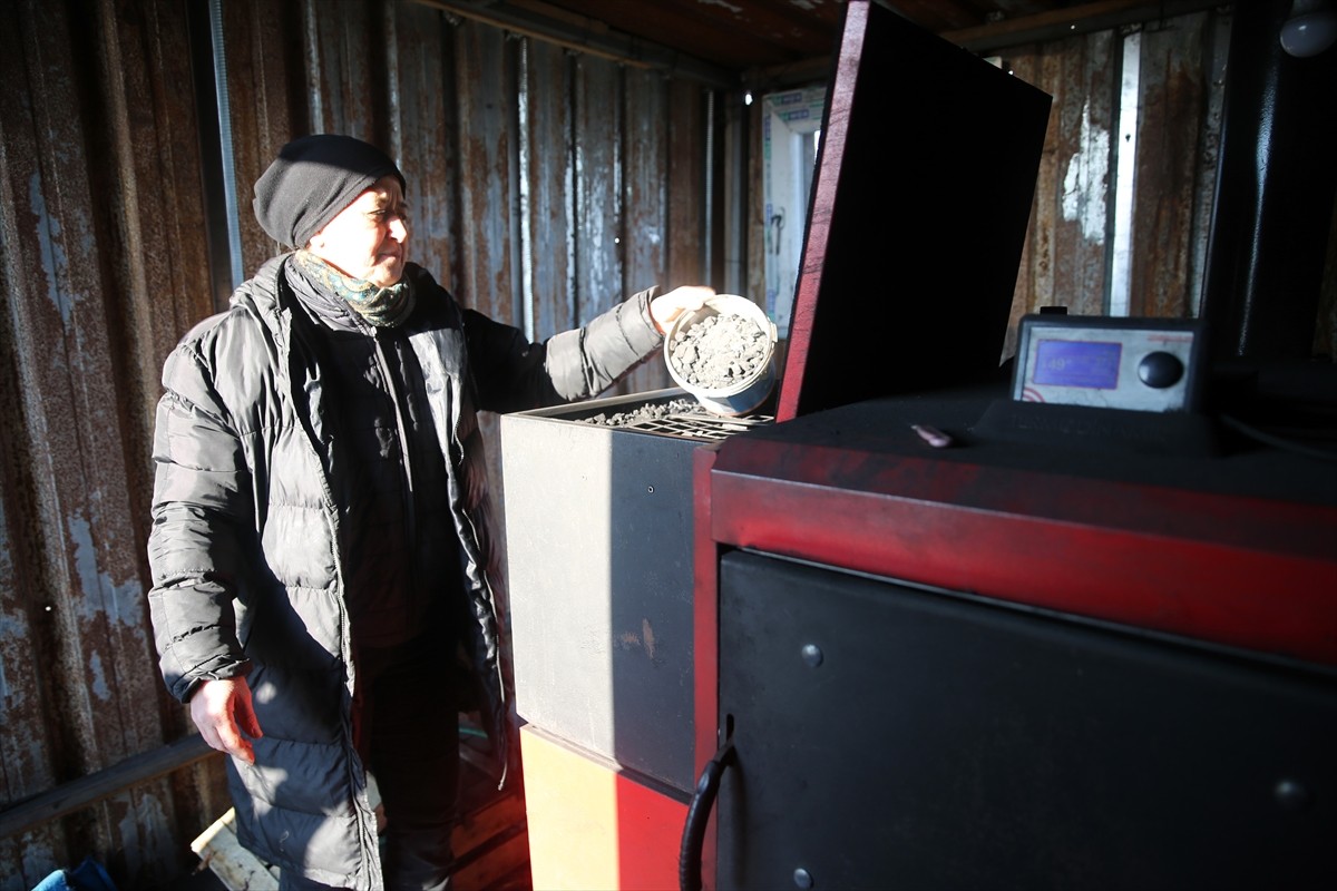 Edirne'de seralarda sebze fidesi yetiştiren üreticiler, soğuk kış günlerinde kalorifer kazan...