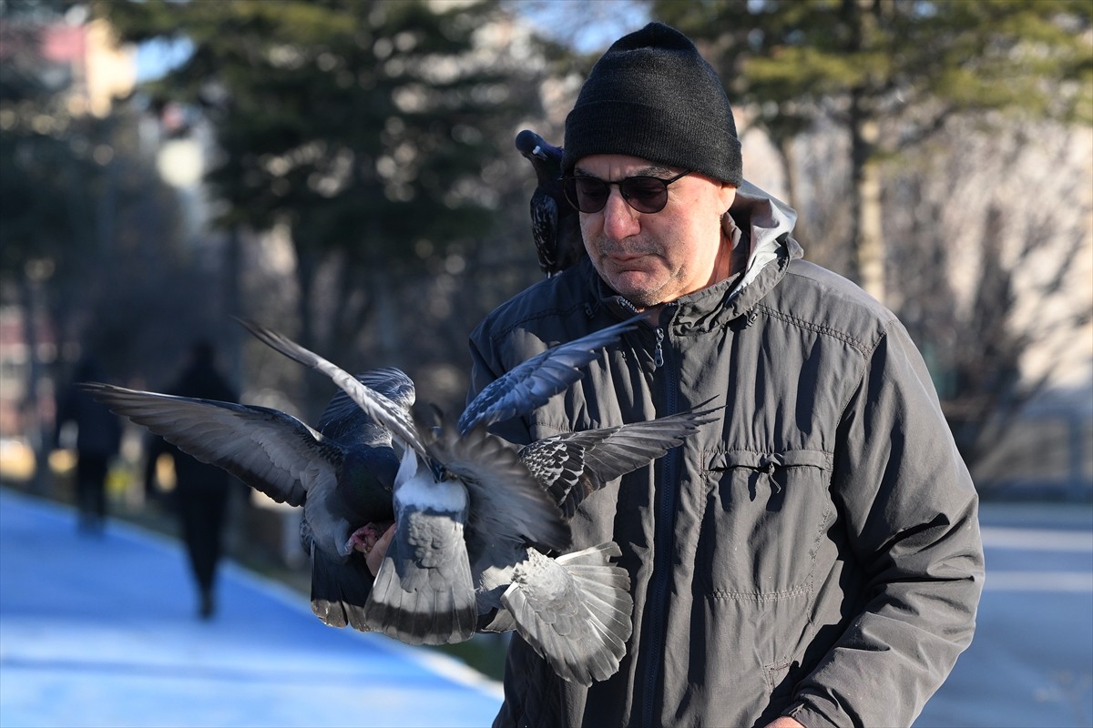 Edirne'de soğuk hava etkili oldu. Hava sıcaklığının gece sıfırın altında 5 derece düştüğü...