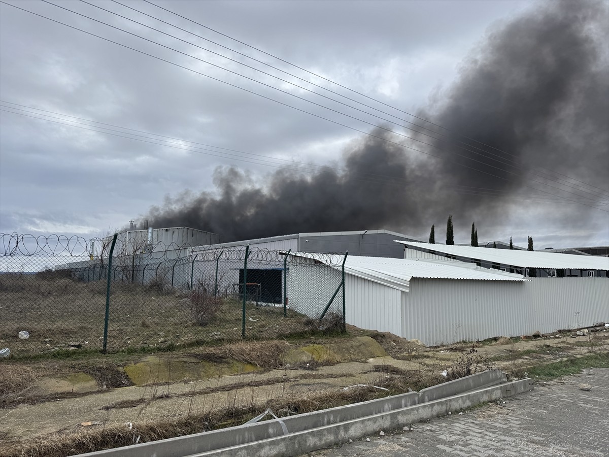 Edirne Organize Sanayi Bölgesi'nde (OSB) bir fabrikada çıkan yangın söndürülmeye çalışılıyor....