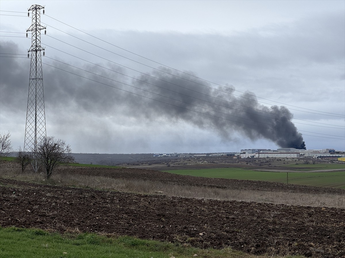Edirne Organize Sanayi Bölgesi'nde (OSB) bir fabrikada çıkan yangın söndürülmeye çalışılıyor....