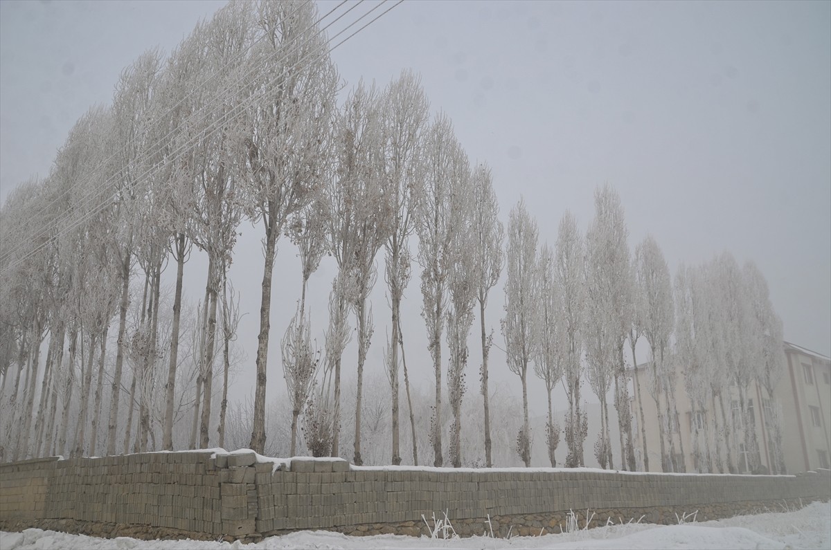 Hakkari'nin Yüksekova ilçesinde sabah etkili olan yoğun sis, görüş mesafesinin düşmesine neden...