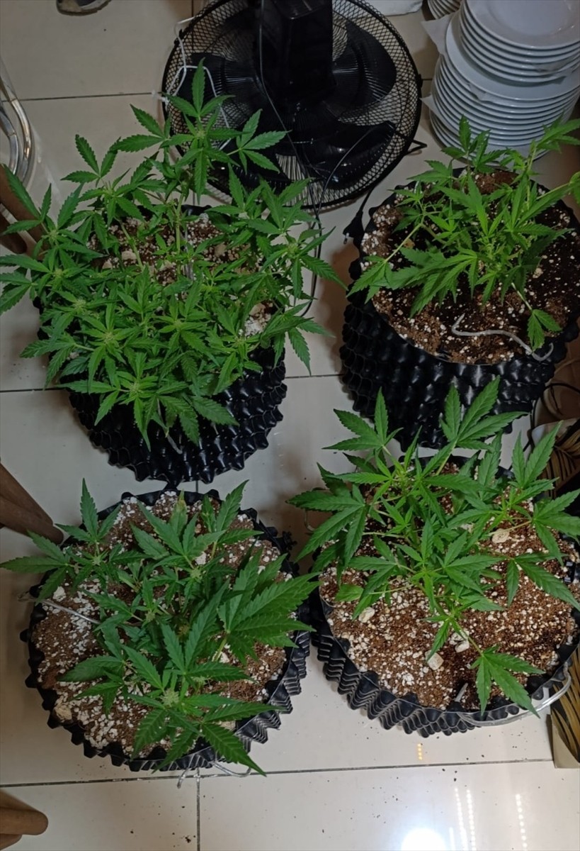 İstanbul Emniyet Müdürlüğü ekiplerince Kağıthane'de uyuşturucu operasyonunda gözaltına alınan 2...