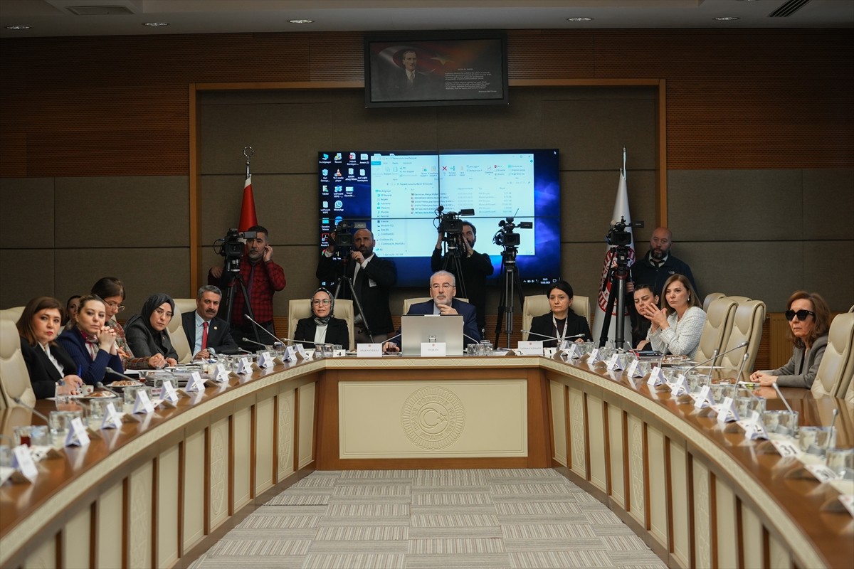 Kadına Karşı Şiddet ve Ayrımcılığın Önlenmesine Yönelik Meclis Araştırma Komisyonu, AK Parti...