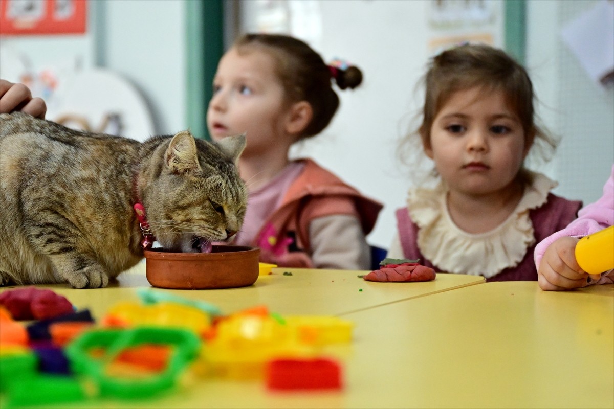 Kahramanmaraş merkezli depremlerin ardından sahipsiz kalan ve bahçesinde bulunduğu okulda korumaya...