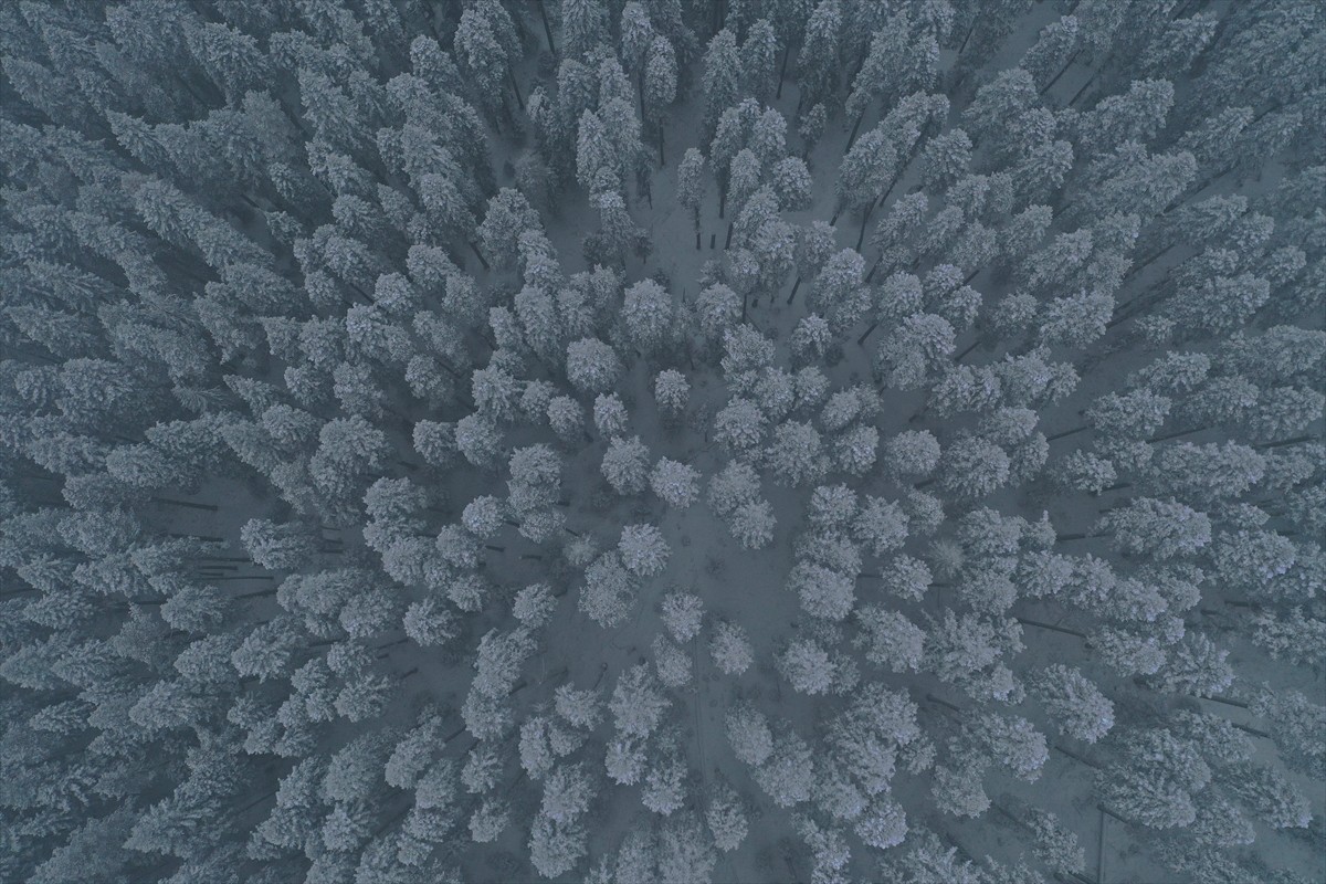 Kastamonu'da Ilgaz Dağı Milli Parkı'nda karın oluşturduğu manzara havadan görüntülendi.