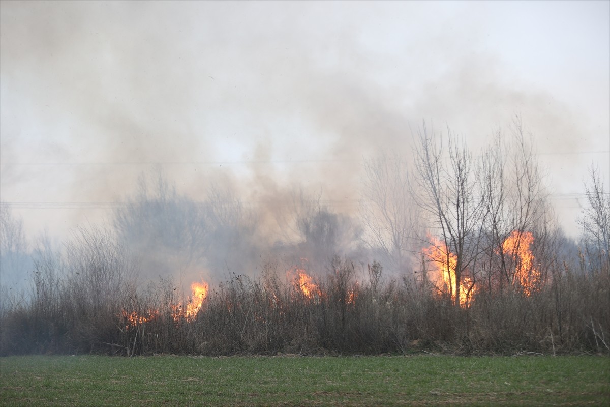 Kırklareli'nde otluk alanda başlayıp ağaçların bulunduğu bölgeye sıçrayan yangın, itfaiye...