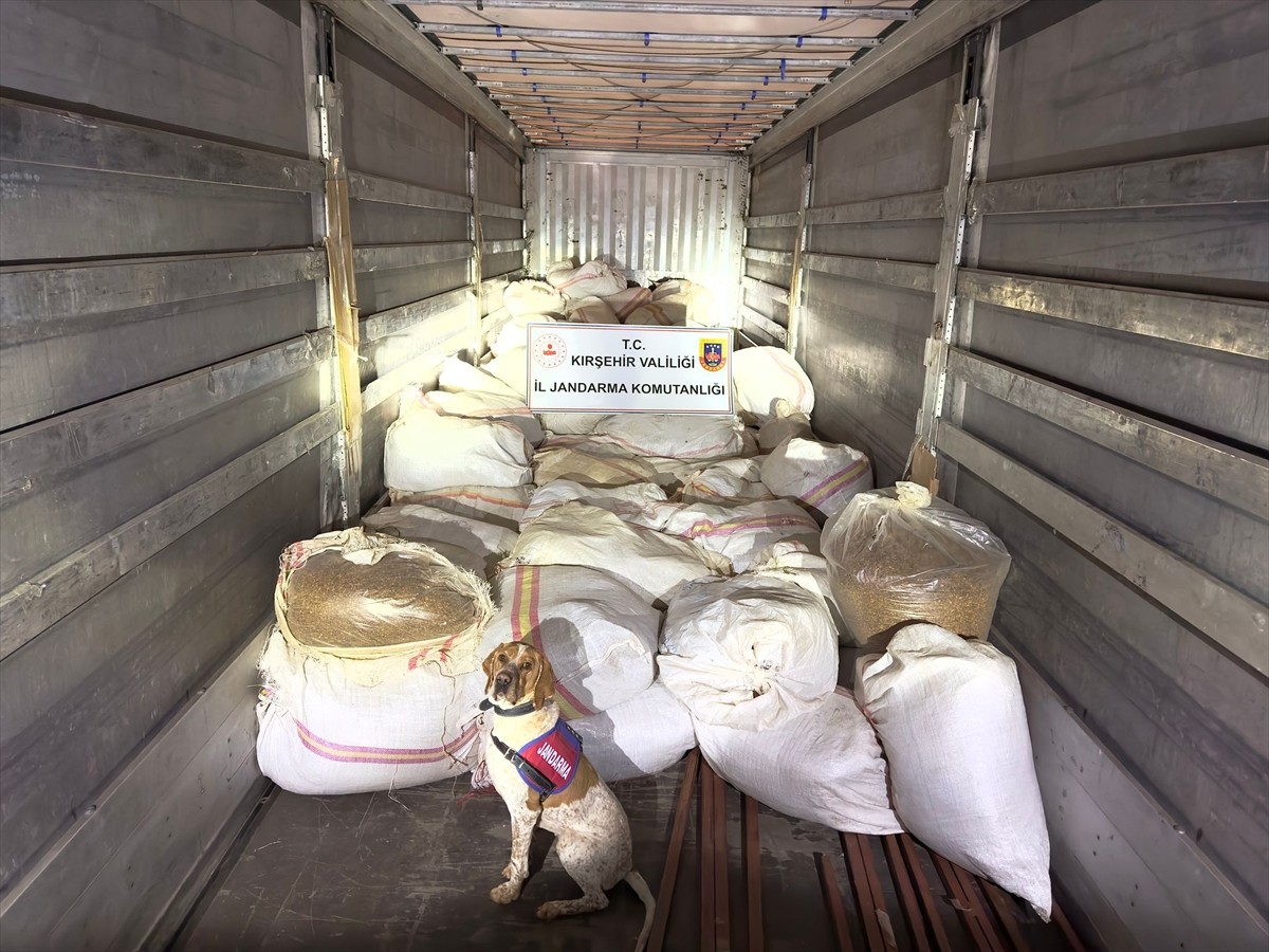 Kırşehir'de dorsesinde 3 ton 35 kilogram kıyılmış tütün ele geçirilen tırın sürücüsü...