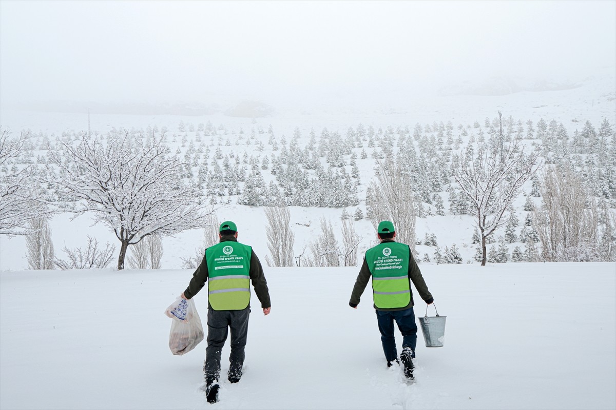 Malatya'nın Darende ilçesinde kış aylarında yem bulmakta zorlanan yaban hayvanları için doğaya yem...