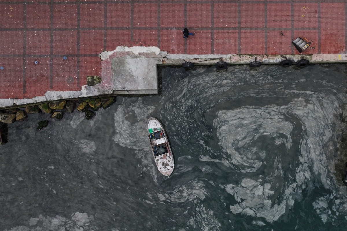 Marmara Denizi'nde 2021'den bu yana belirli aralıklarla ortaya çıkan müsilaj, Adalar ilçesinin...