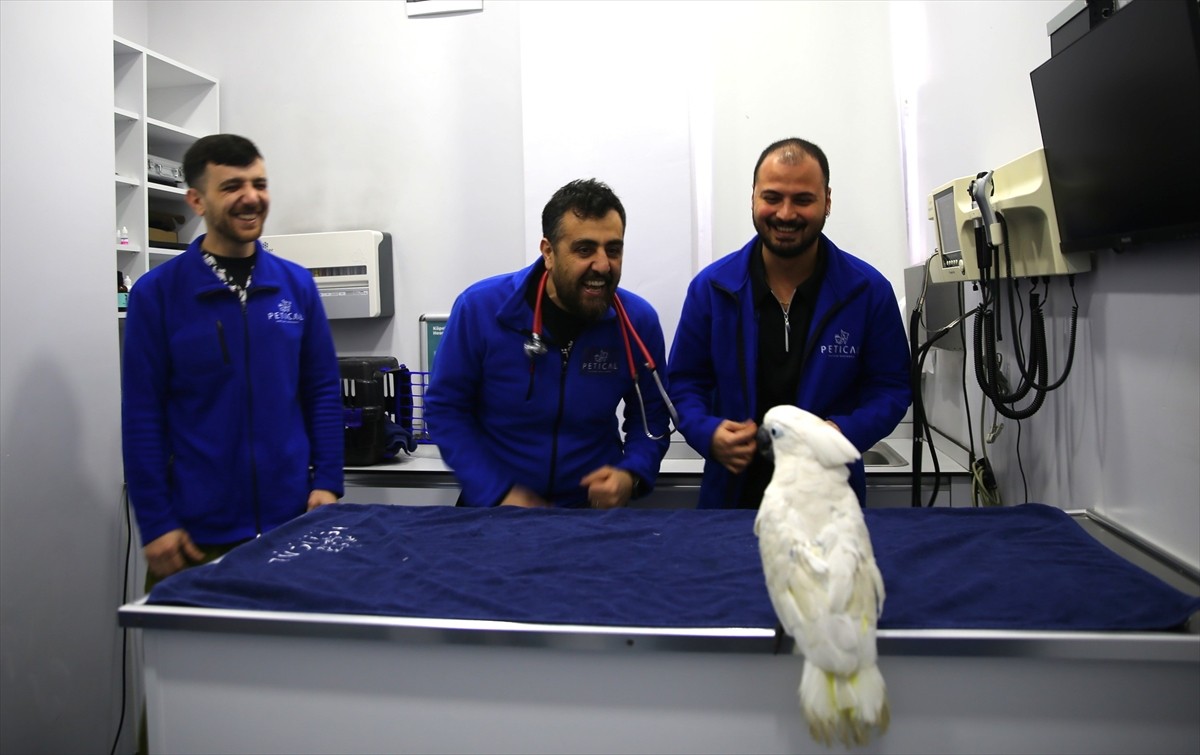 Mersin'de "Ares" isimli papağan tedavi için götürüldüğü hayvan hastanesindeki dansıyla...