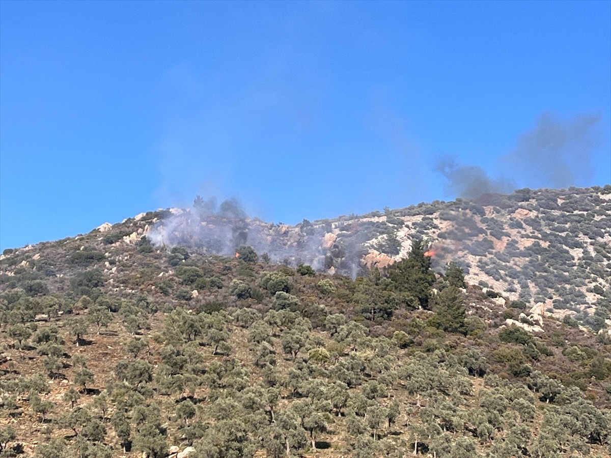 Muğla'nın Milas ilçesinde makilik alanda yangın çıktı.