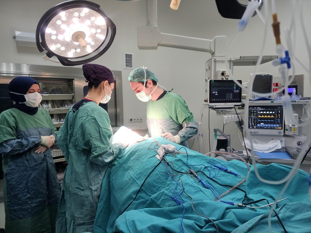 Muş'ta annesini götürdüğü devlet hastanesinde doktorun dudağındaki yarayı fark etmesi üzerine...