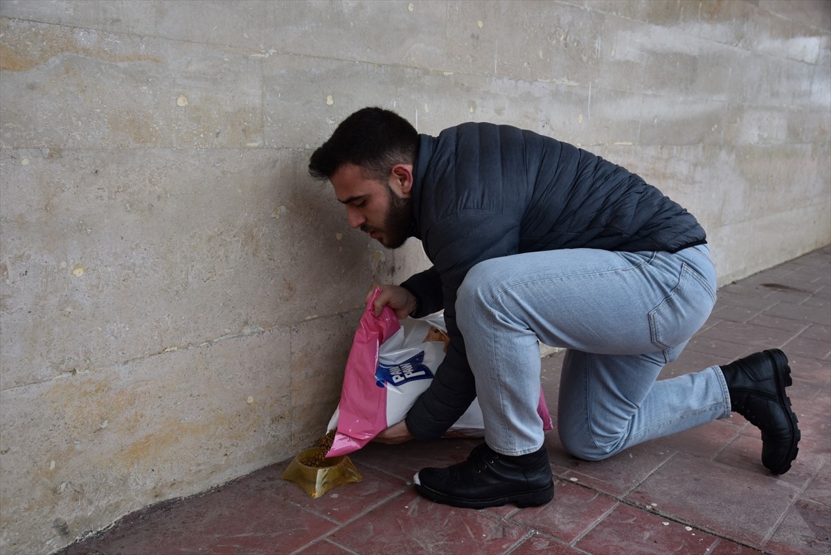 Ondokuz Mayıs Üniversitesi (OMÜ) Veteriner Fakültesi öğrencileri, yoğun kar yağışı nedeniyle...
