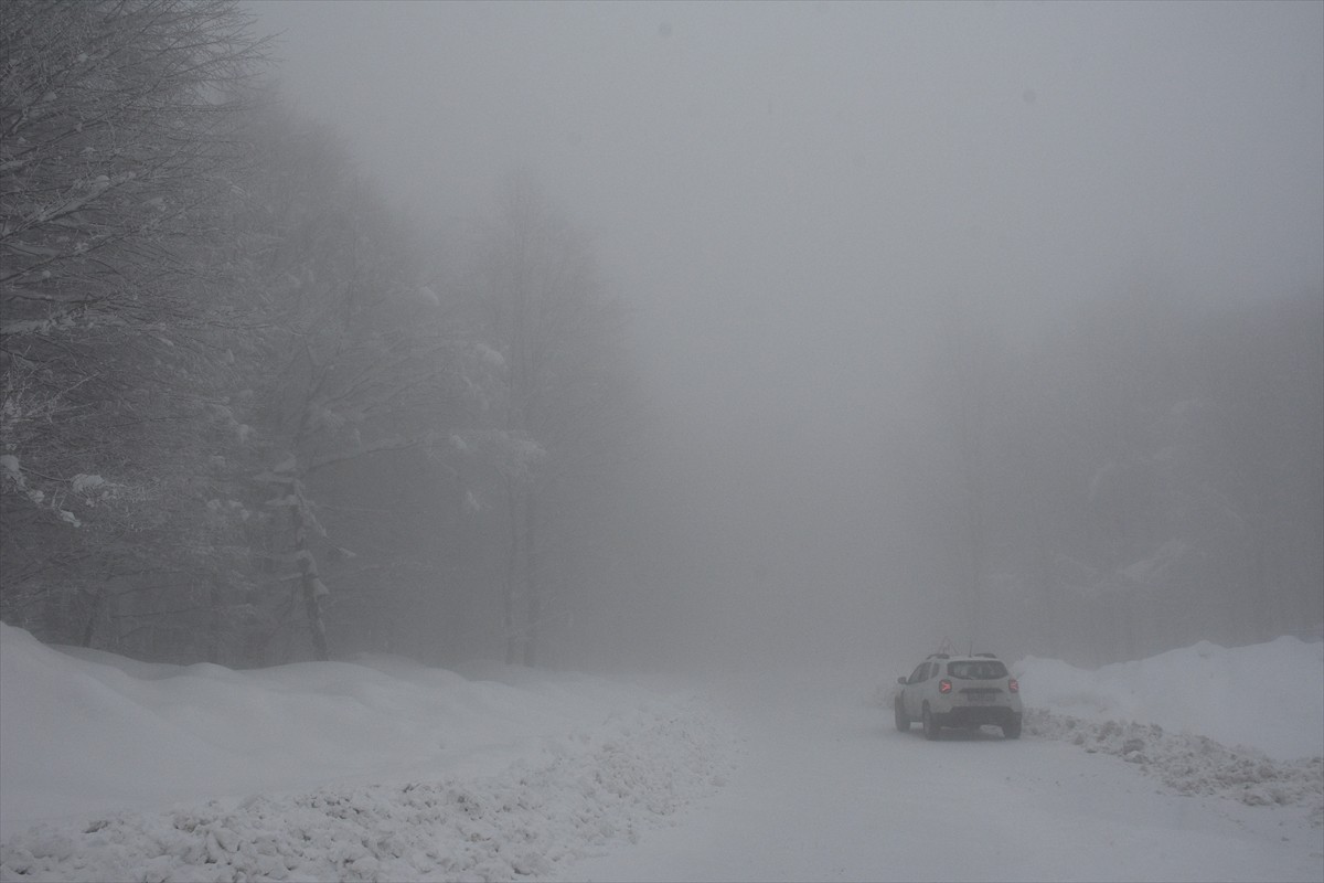 Samsun'un 19 Mayıs ilçesindeki Nebiyan Dağı, kar yağışının ardından beyaza büründü.