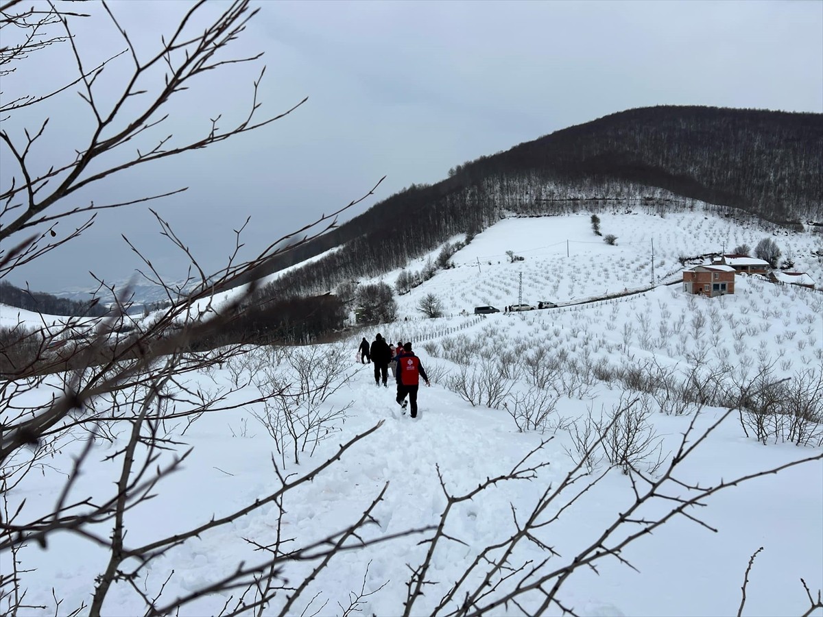 Samsun'un yüksek kesimlerinde kar kalınlığının yaklaşık 1 metreye ulaştığı alanlarda yem bulmakta...