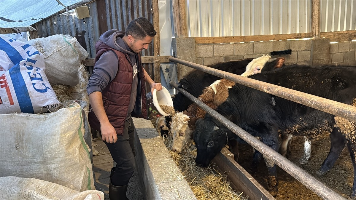 Şehir hayatından sıkılarak Karabük'teki köyüne yerleşen genç ziraat teknikeri Abdullah Kamçıcı...