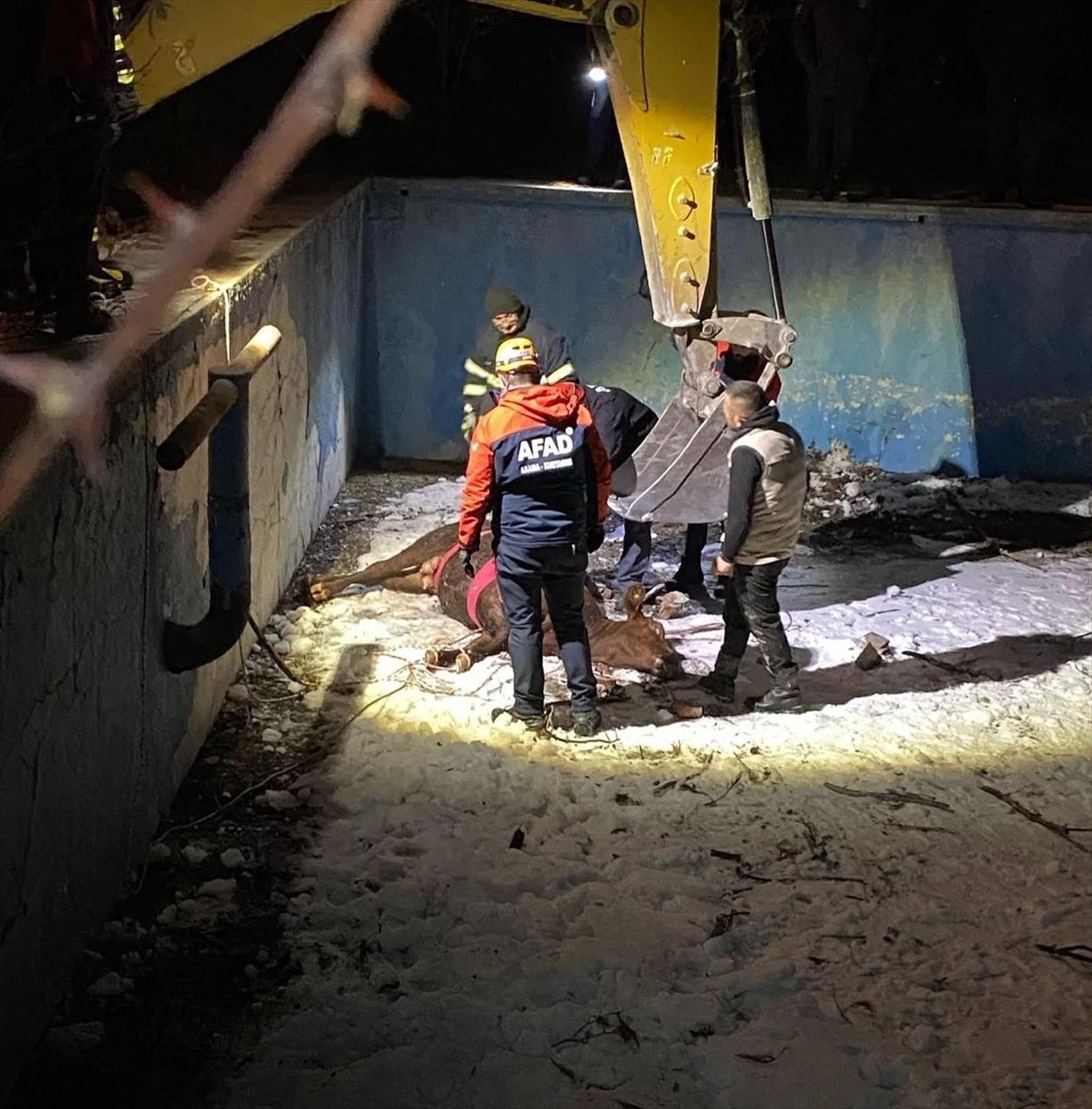 Sivas'ta sahibinin elinden kaçarak boş havuza düşen inek AFAD ve itfaiye ekiplerince kurtarıldı....