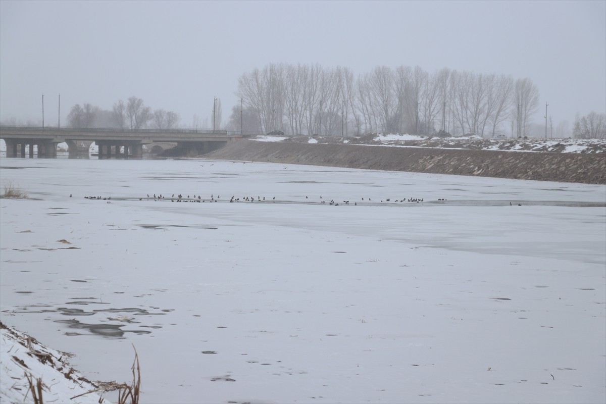 Sivas'ta soğuk hava nedeniyle Türkiye'nin en uzun nehri Kızılırmak ile Serpincik Göleti'nin yüzeyi...
