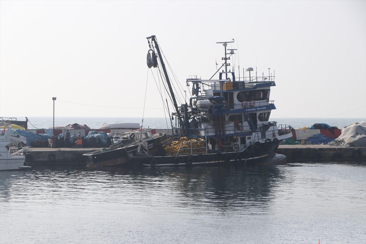 Tekirdağ'da bir haftadır etkili olan poyraz nedeniyle avlanamayan balıkçılar, rüzgarın...