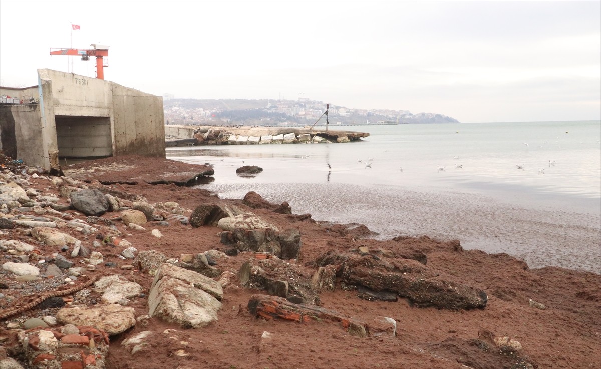 Tekirdağ'da kuvvetli rüzgar nedeniyle sahilin bir kısmı kırmızı yosunla kaplandı. Kentte dün...
