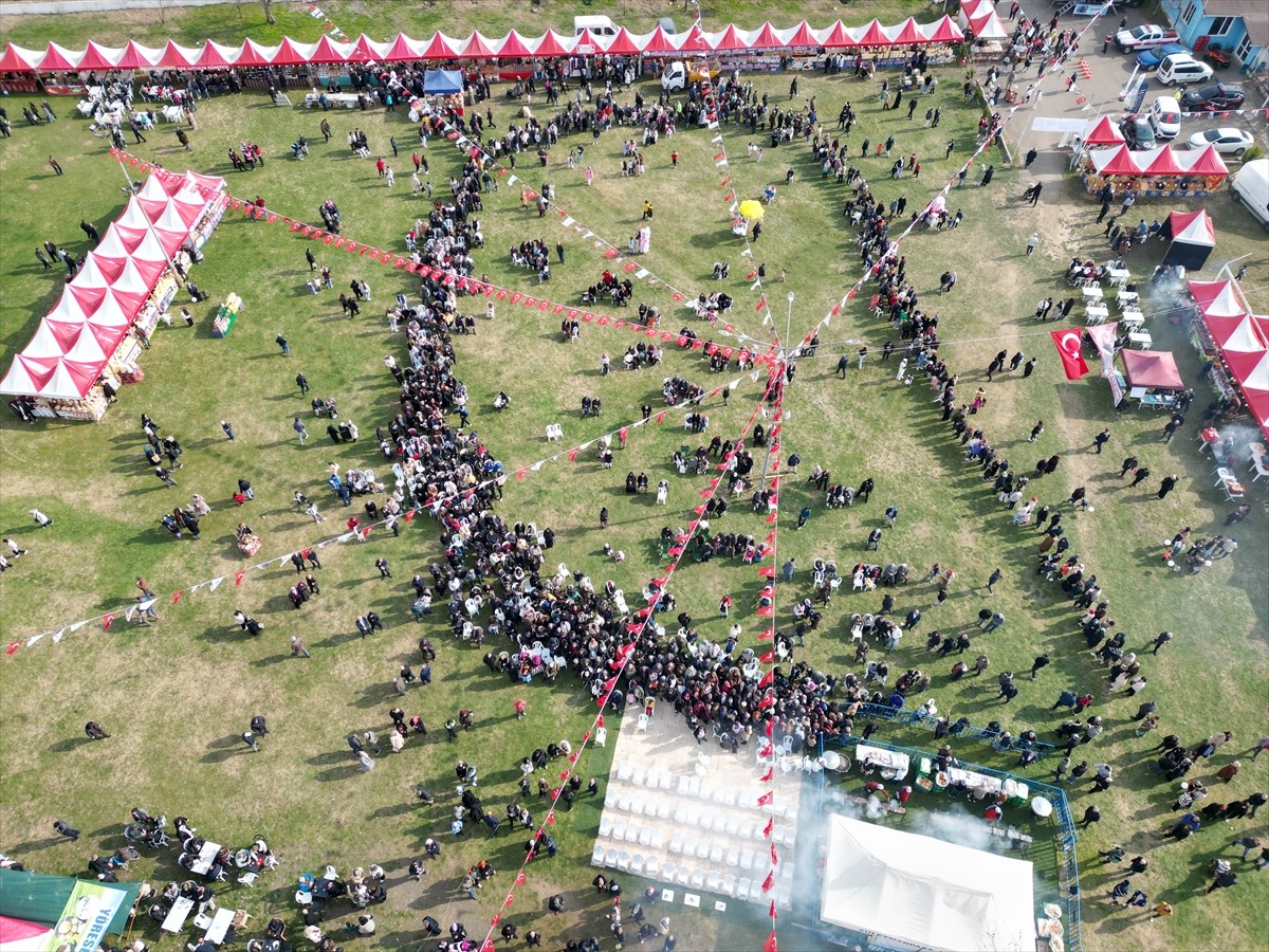 Tekirdağ'da "1. Hamsi ve Mıhlama Festivali"nde katılımcılara yaklaşık 5 ton hamsi ikram...