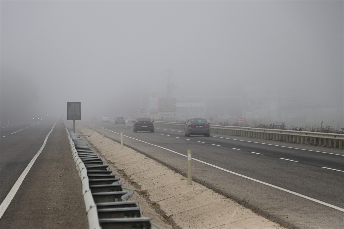  Tekirdağ'da sis nedeniyle görüş mesafesi azaldı.